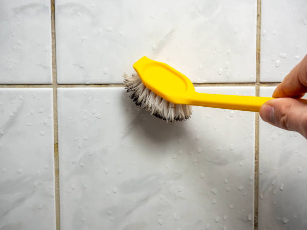 Best Emergency Mold Removal  in St Johns, AZ