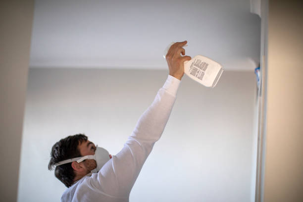 Best Mold Testing  in St Johns, AZ