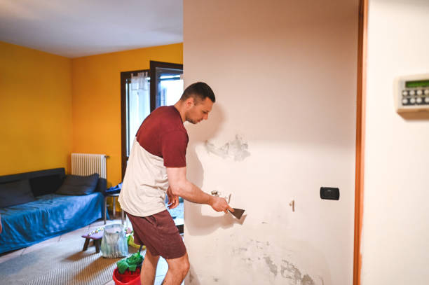 Best Mold Removal Company Near Me  in St Johns, AZ